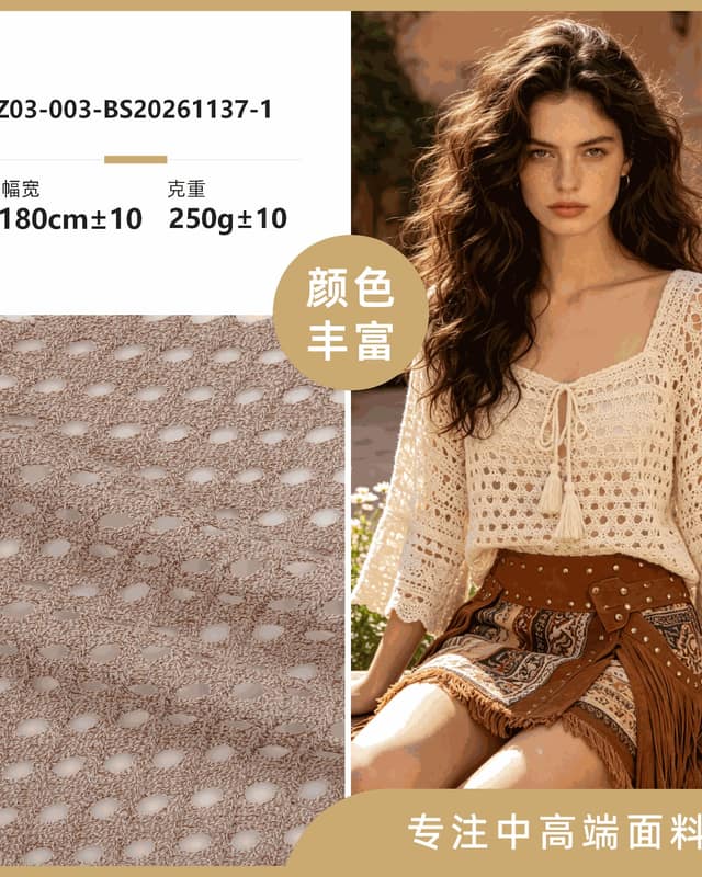Z03-003-BS20261137面料