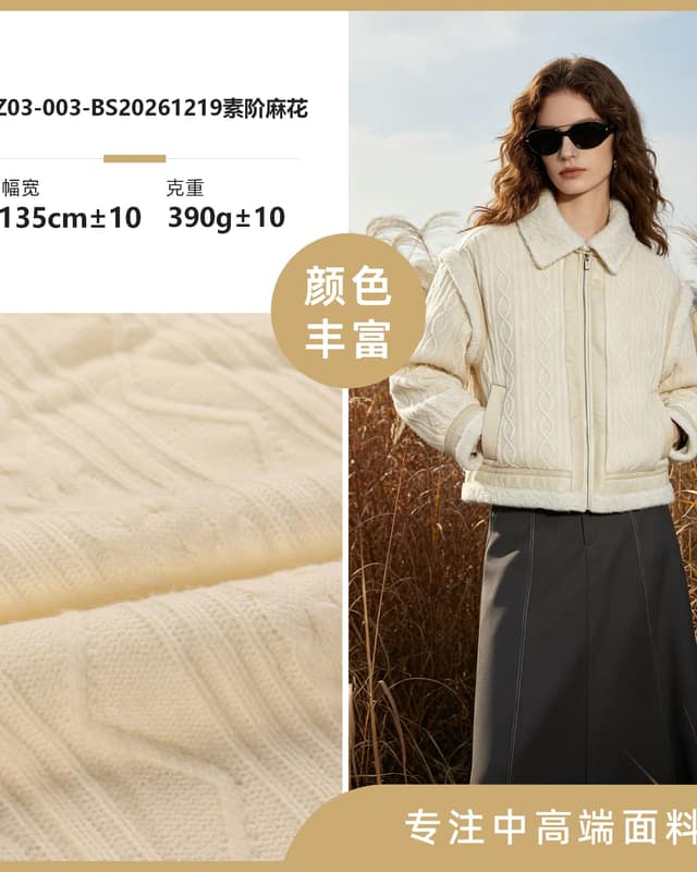 Z03-003-BS20261219素阶麻花面料