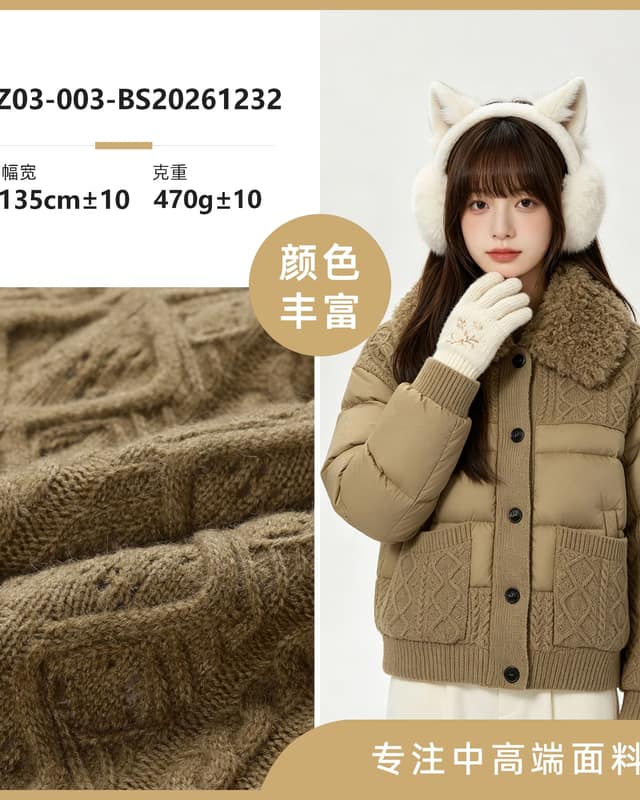 Z03-003-BS20261232面料