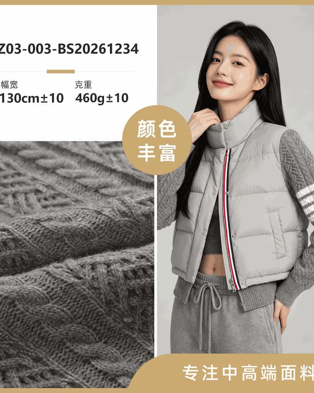 Z03-003-BS20261234面料