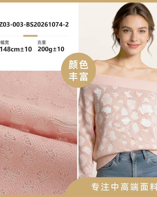 Z03-003-BS20261074面料