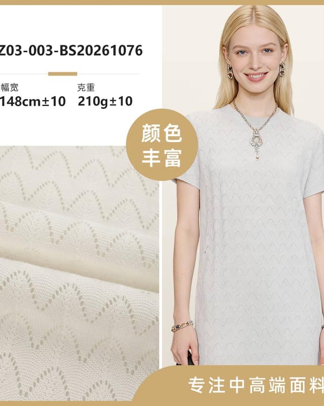 Z03-003-BS20261076面料