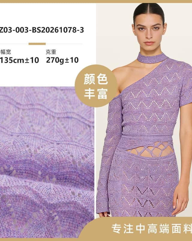 Z03-003-BS20261078面料