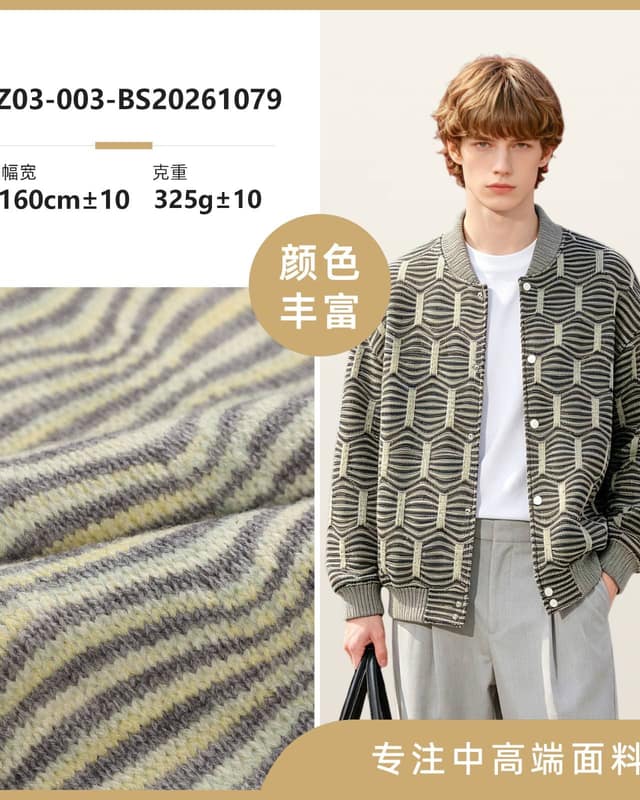Z03-003-BS20261079面料