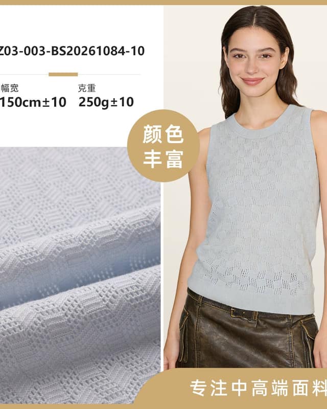 Z03-003-BS20261084面料