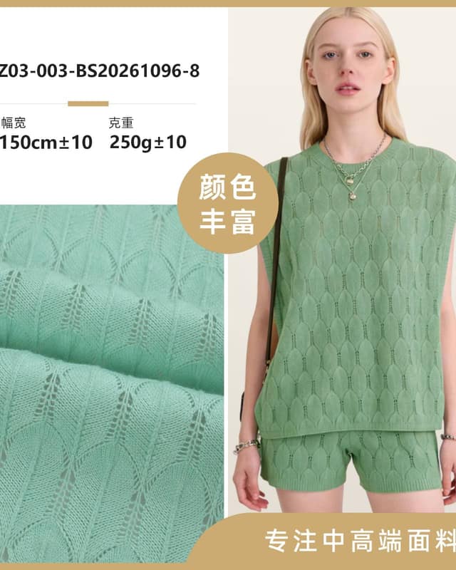 Z03-003-BS20261096面料