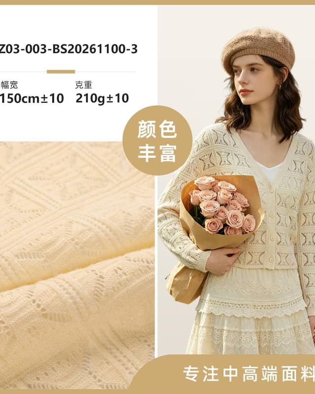 Z03-003-BS20261100面料
