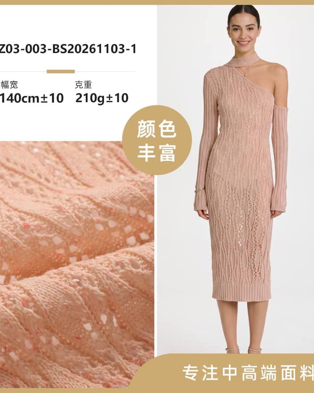 Z03-003-BS20261103面料