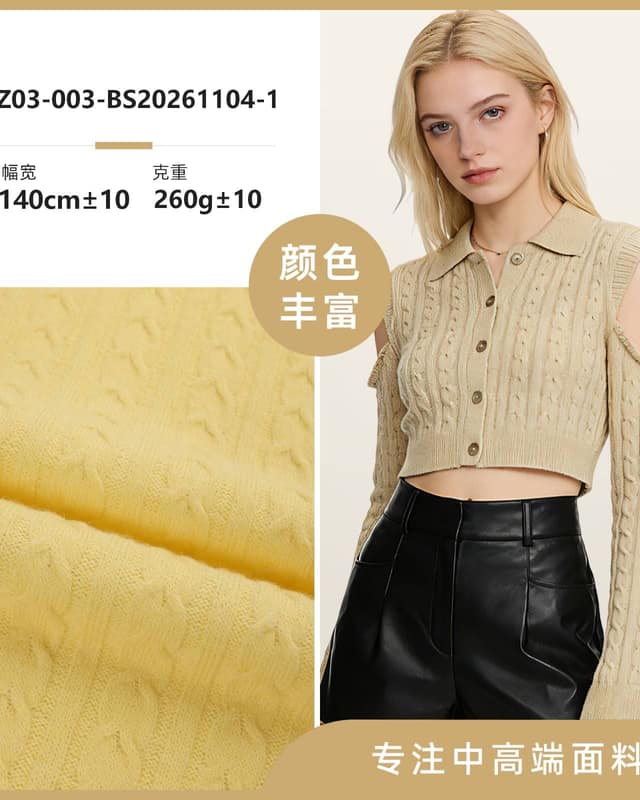 Z03-003-BS20261104面料