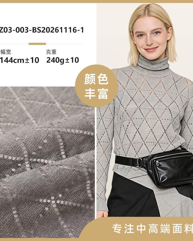 Z03-003-BS20261116面料
