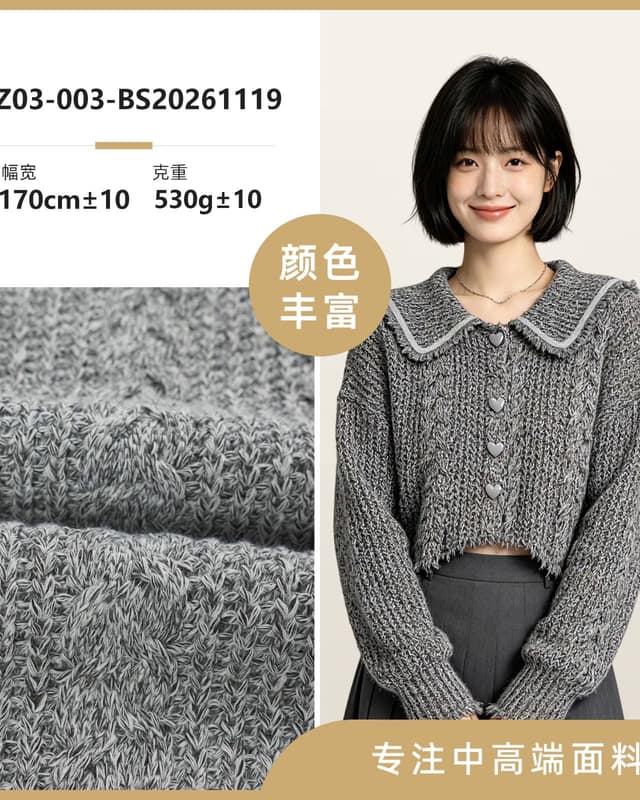 Z03-003-BS20261119面料