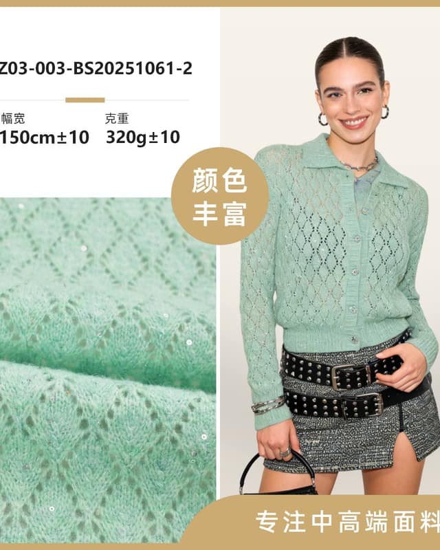 Z03-003-BS20251061-2面料