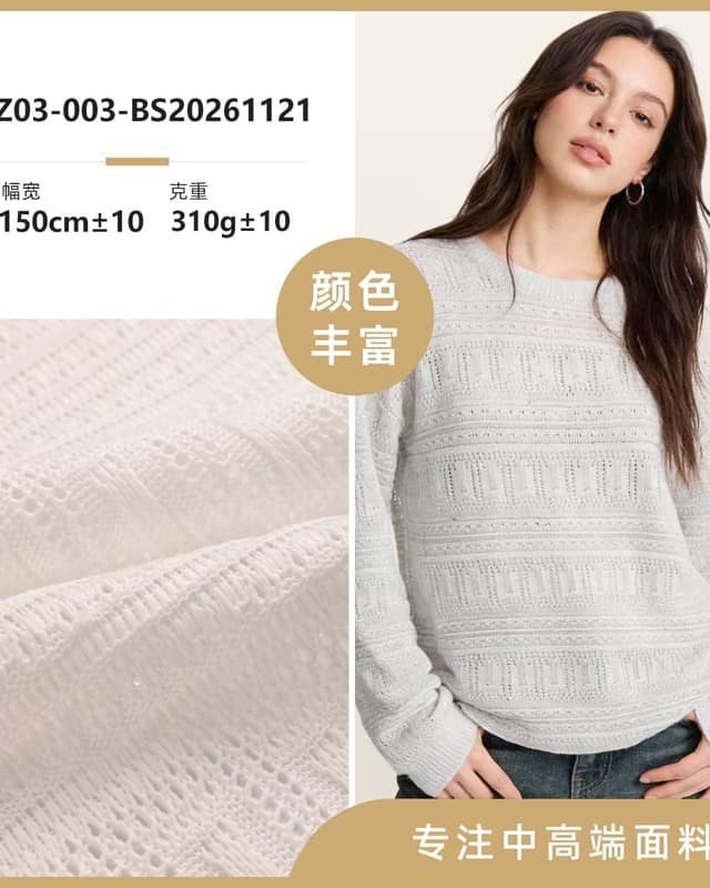 Z03-003-BS20261121面料