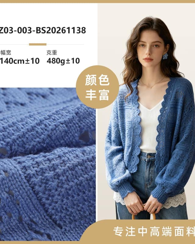 Z03-003-BS20261138面料