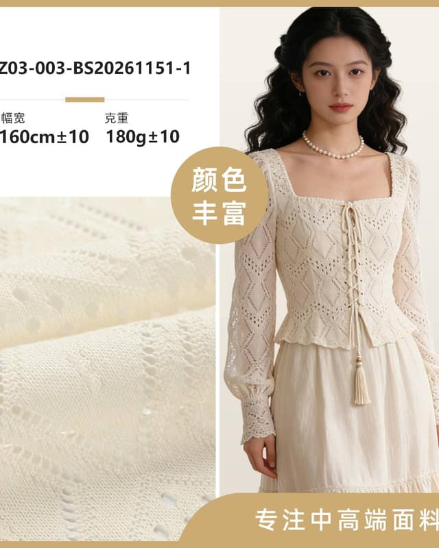 Z03-003-BS20261151-1面料