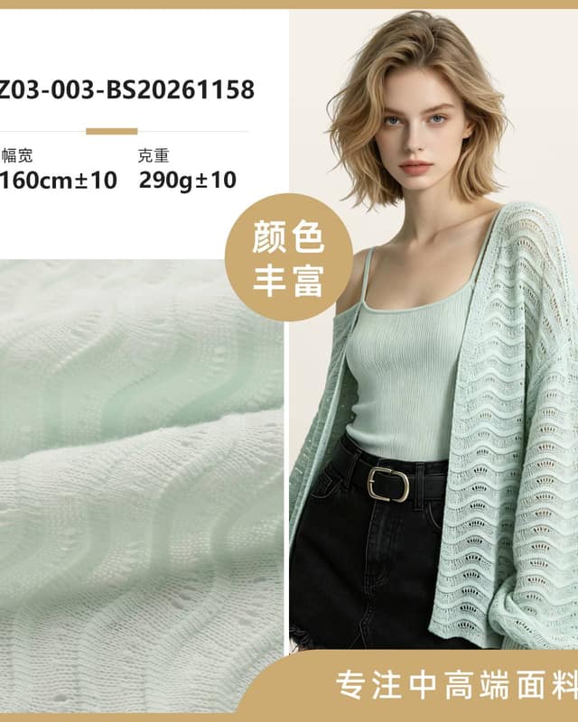 Z03-003-BS20261158面料