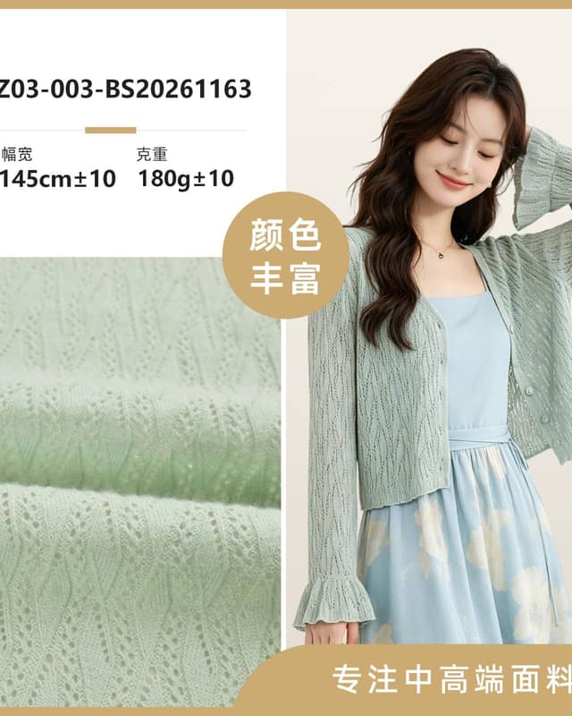 Z03-003-BS20261163面料
