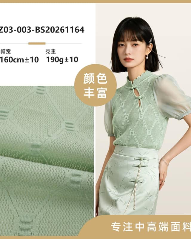 Z03-003-BS20261164面料