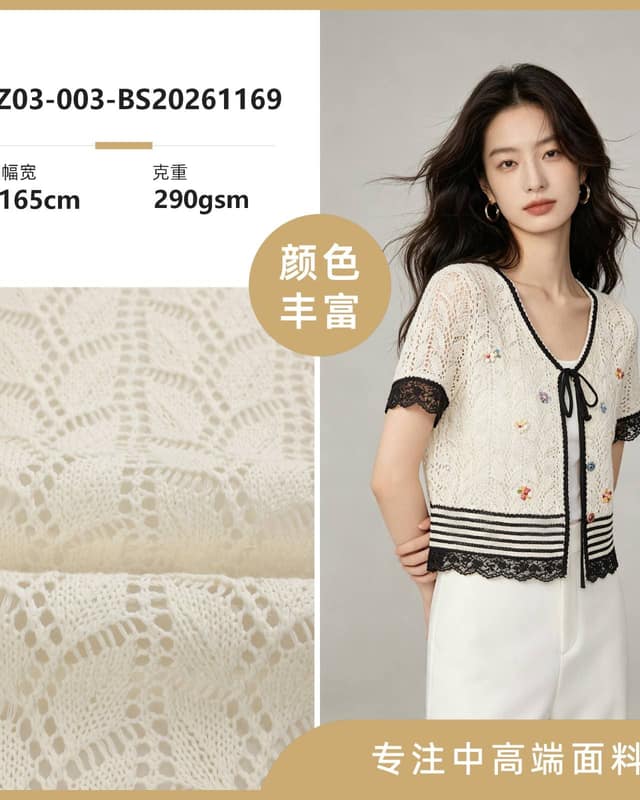 Z03-003-BS20261169面料