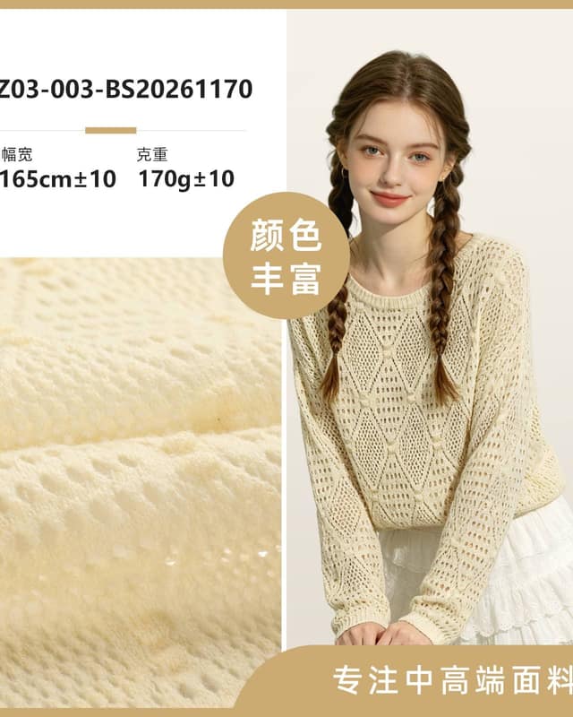 Z03-003-BS20261170面料