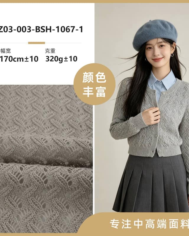 Z03-003-BSH-1067-1面料