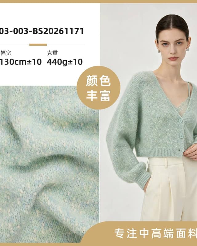 Z03-003-BS20261171-1面料