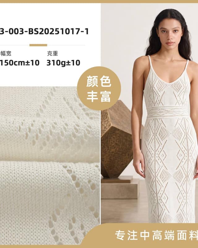 Z03-003-BS20251017-1面料