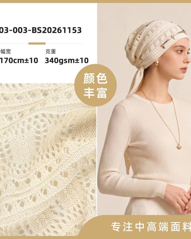 Z03-003-BS20261153面料