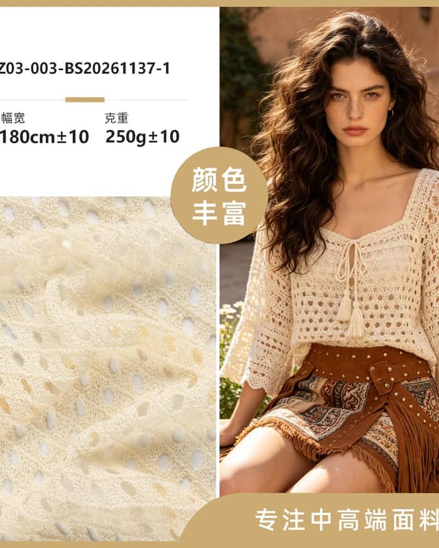 Z03-003-BS20261137面料
