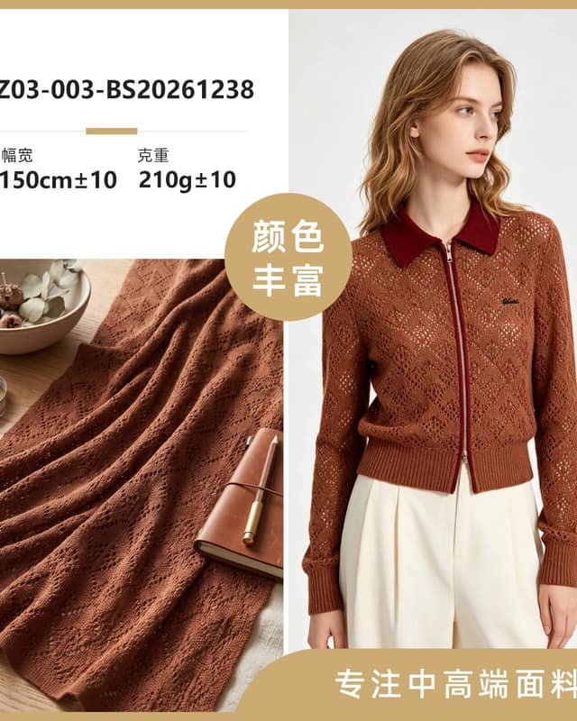 Z03-003-BS20261238面料