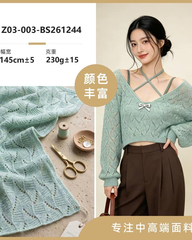 Z03-003-BS261244面料